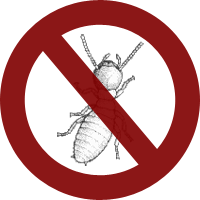Termite Pre-Treatment
